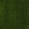 Искусственная трава Grass Ворс 25 мм Искусственная трава Grass Ворс 25 мм