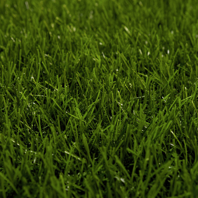 Искусственная трава Grass Ворс 25 мм Искусственная трава Grass Ворс 25 мм