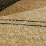 Ковер VALENCIA 5383 - CREAM 