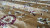 Ковер "Kandahar" (2008B_HARDAL / SARI) Прямой 1,5х2,3 Ковер "Kandahar" (2008B_HARDAL / SARI) Прямой 1,5х2,3
