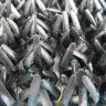 Щетинистое покрытие FinnTurf Metallic дизайн 24 серебро Щетинистое покрытие FinnTurf Metallic дизайн 24 серебро