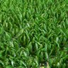 Щетинистое покрытие FinnTurf Plus дизайн 10 зеленый Щетинистое покрытие FinnTurf Plus дизайн 10 зеленый
